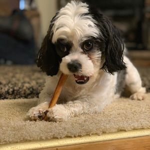 Meet your Posher, Wendy